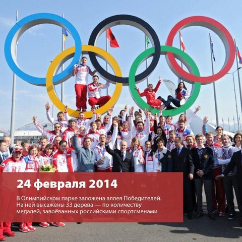 2014 sloj 6