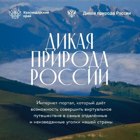 dikaya priroda russia 1