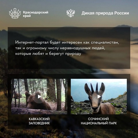 dikaya priroda russia 5