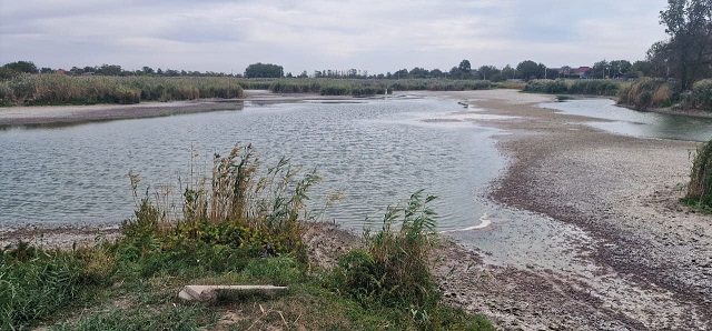 photo 5443145074109179360 y
