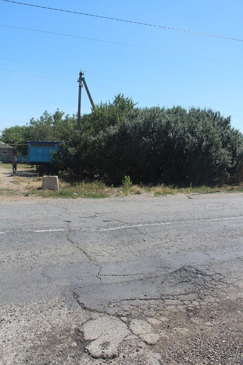 photo 5199436157149109832 y