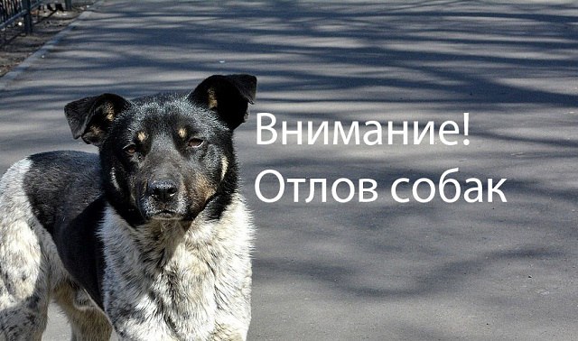 573otlov