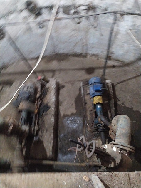 WhatsApp Image 2021-02-09 at 16.04.3