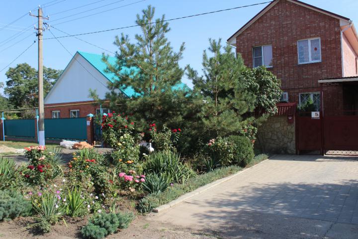 IMG 3464