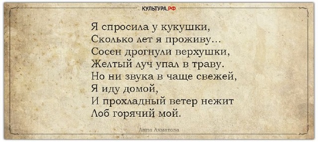 anna202318 2