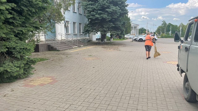 photo 5424933871608258291 y