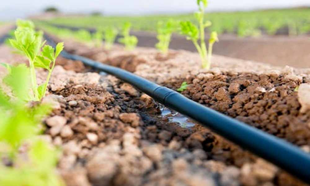 drip irrigation agriculture.1140x600
