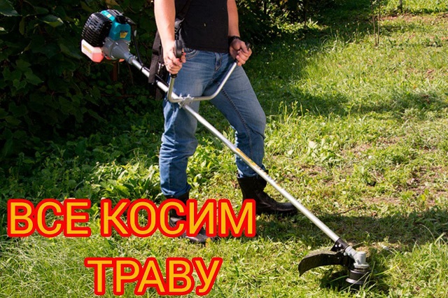 ВСЕ КОСИМ ТРАВУ