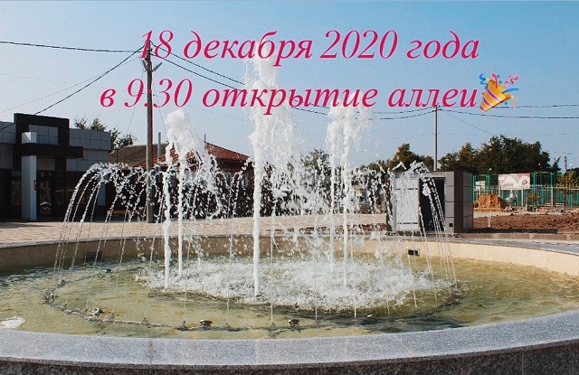 IMG 9910