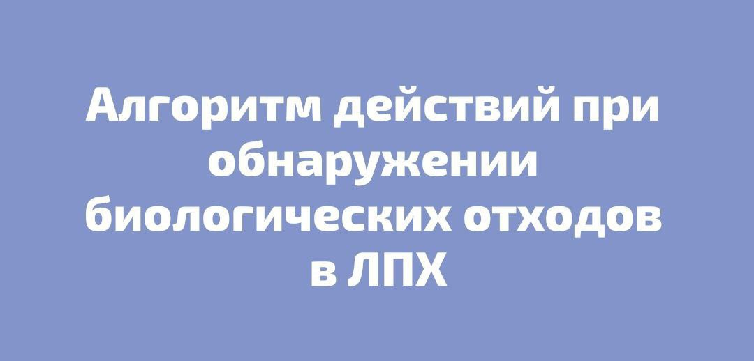 5271847424563998847