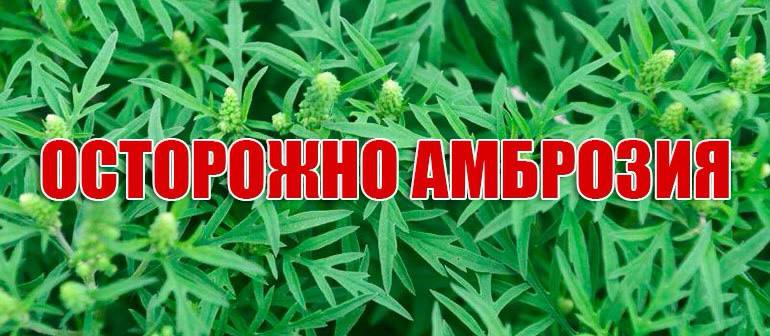 photo1657268898