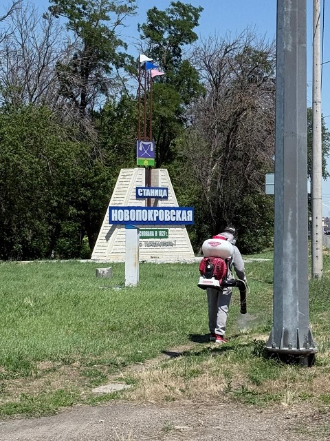 photo 5411428948241415186 y 1