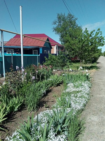photo5285195628869169902