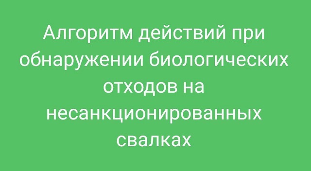 5271847424563998778