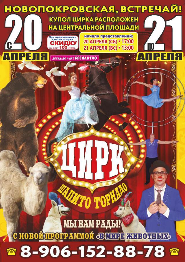 foto-15-04-2019-14-26 6
