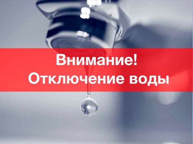 photo1655450532