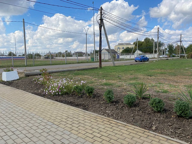 photo166307