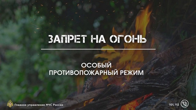photo 5215422983202535816 y