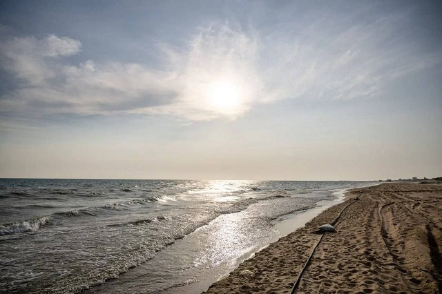 photo 5217593908782037049 y