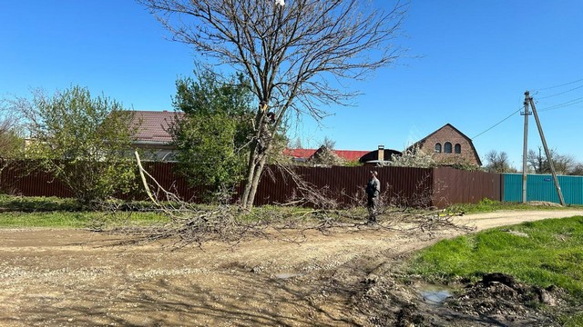photo 16042025 02