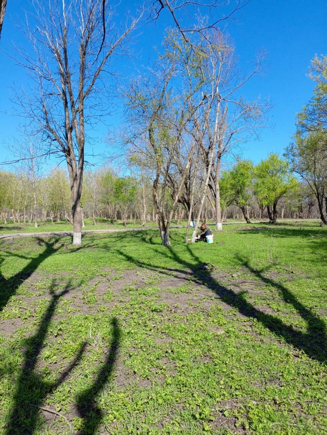 Субботник в Лесничестве